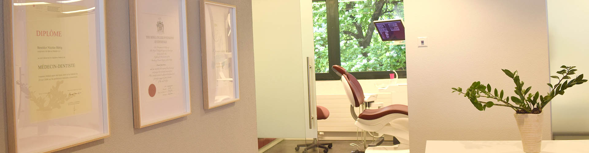 geneva dental treatments