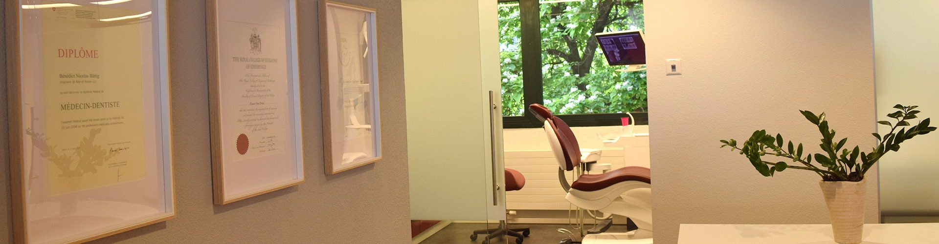 geneva dental treatments